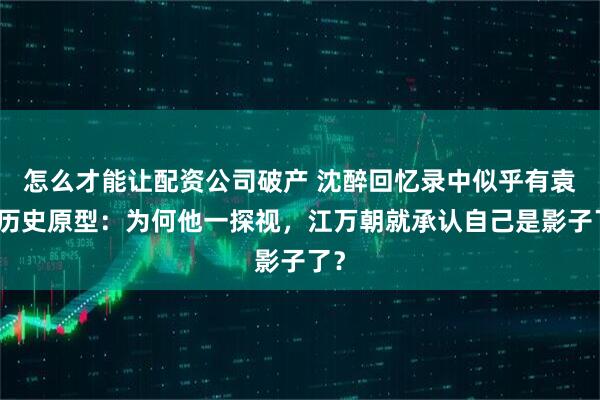 怎么才能让配资公司破产 沈醉回忆录中似乎有袁农历史原型：为何他一探视，江万朝就承认自己是影子了？